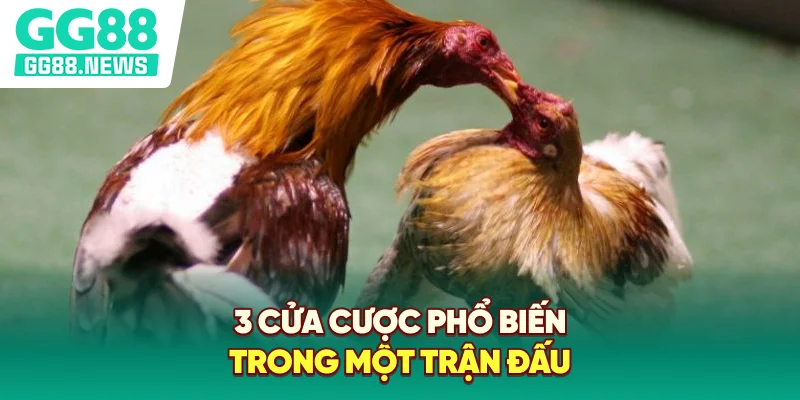 3 cửa cược phổ biến trong một trận đấu