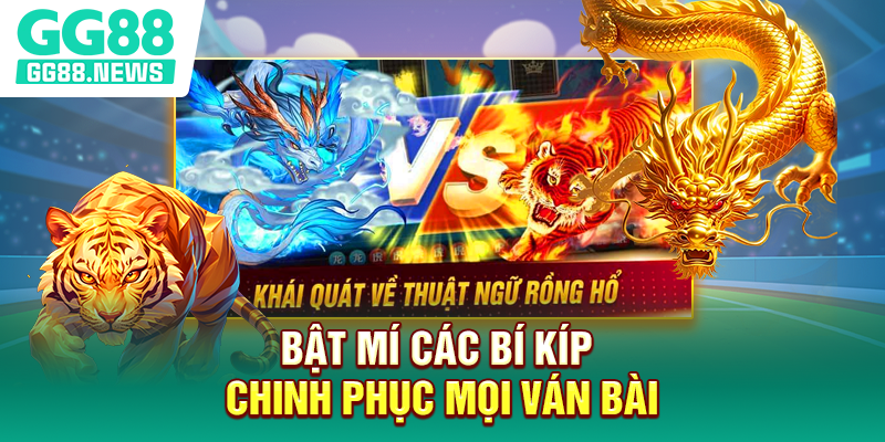 Bật mí các bí kíp chinh phục mọi ván bài