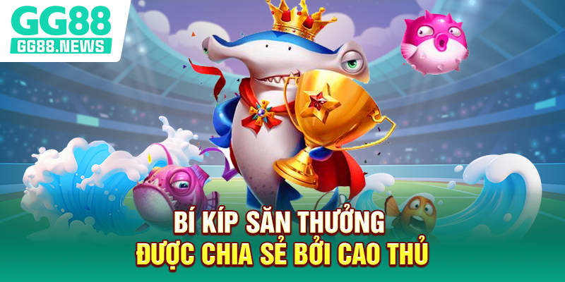Bí kíp săn thưởng được chia sẻ bởi cao thủ