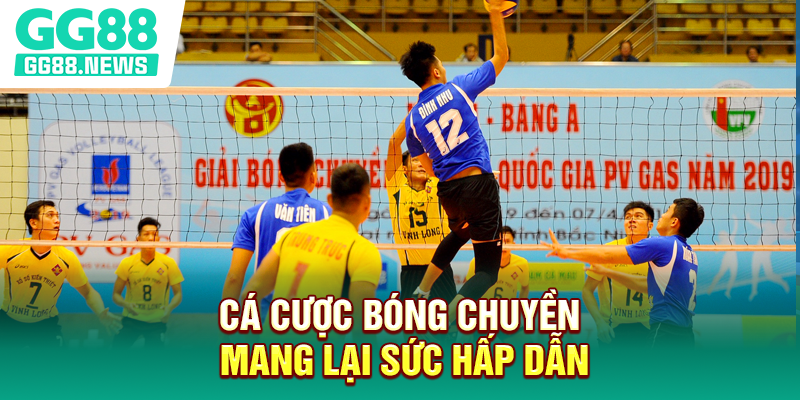 Cá cược bóng chuyền mang lại sức hấp dẫn