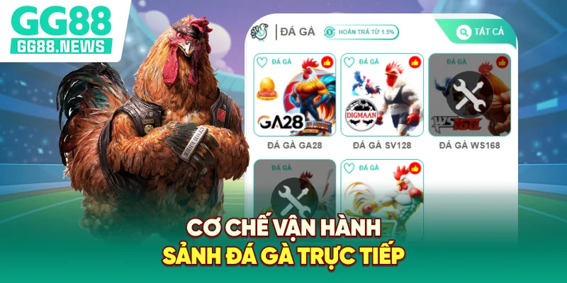 Cơ chế vận hành sảnh đá gà trực tiếp