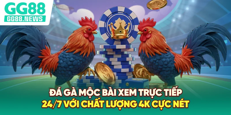 Đá Gà Mộc Bài