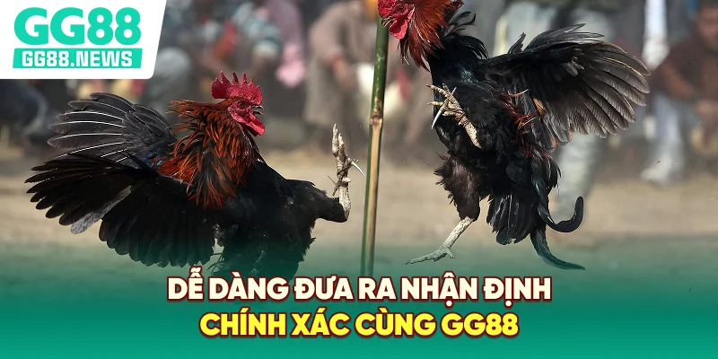 Dễ dàng đưa ra nhận định chính xác cùng GG88