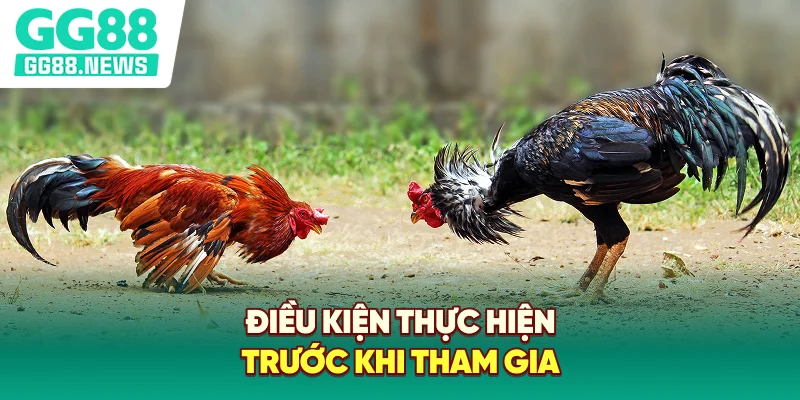 Điều kiện thực hiện trước khi tham gia