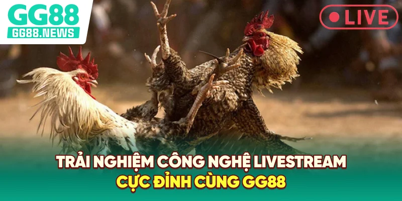 Trải nghiệm công nghệ livestream cực đỉnh cùng GG88