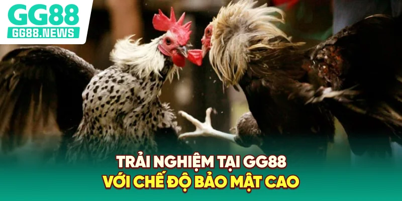 Trải nghiệm tại GG88 với chế độ bảo mật cao